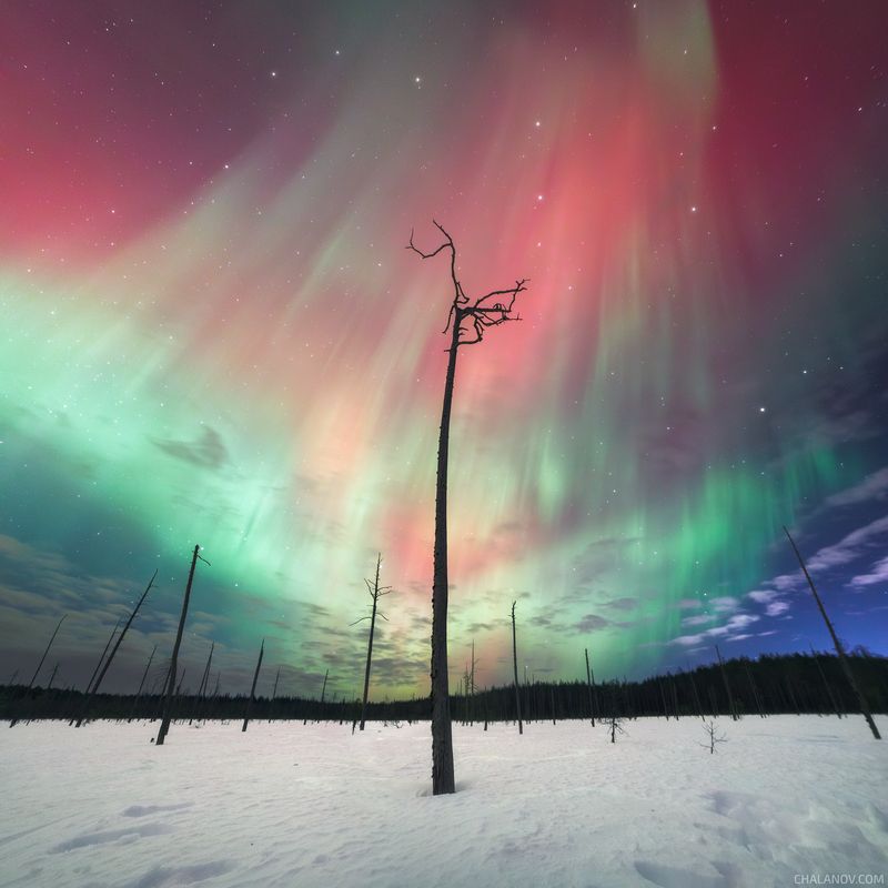 Боги народа Коми фото превью