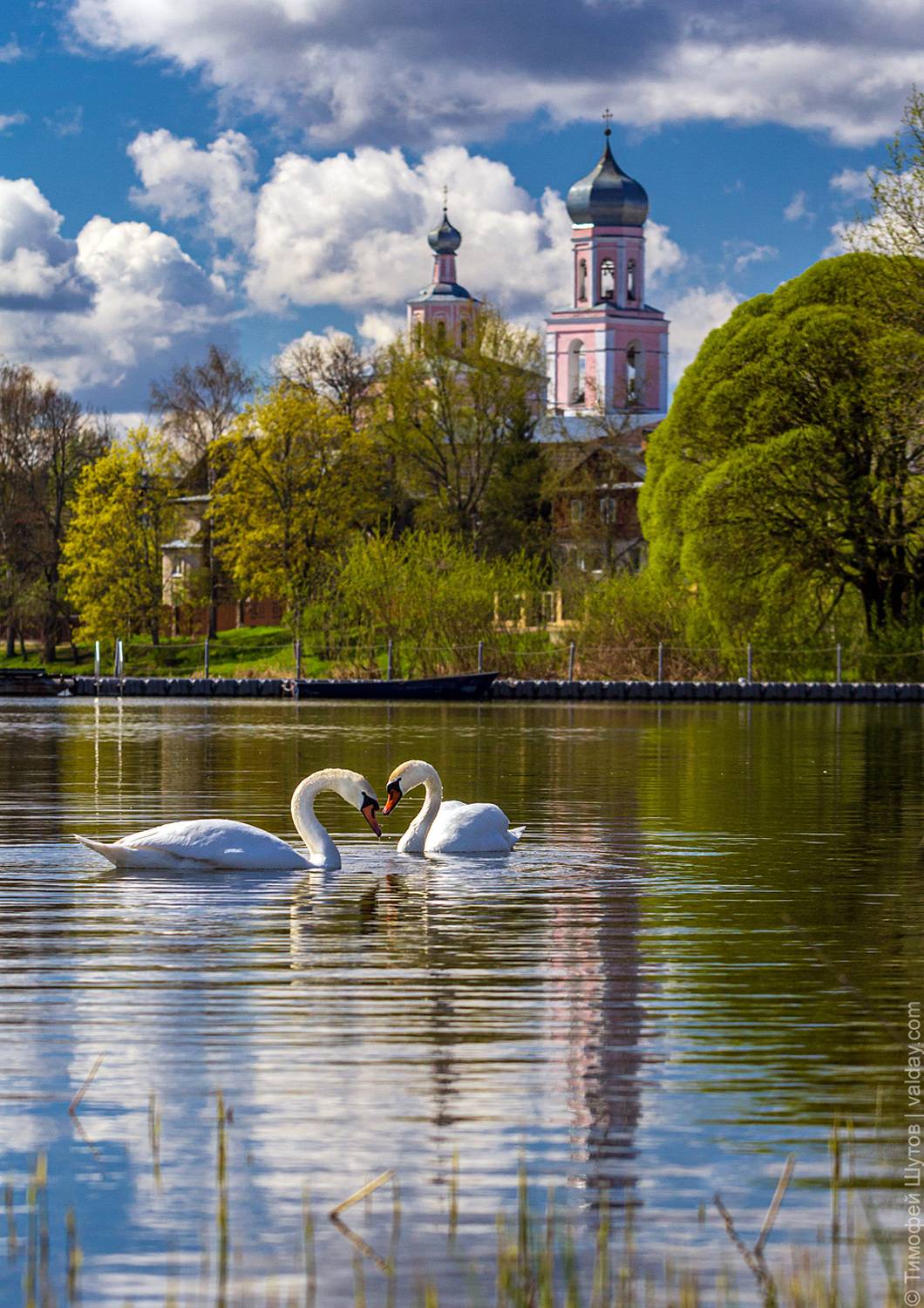 валдай, Тимофей Шутов