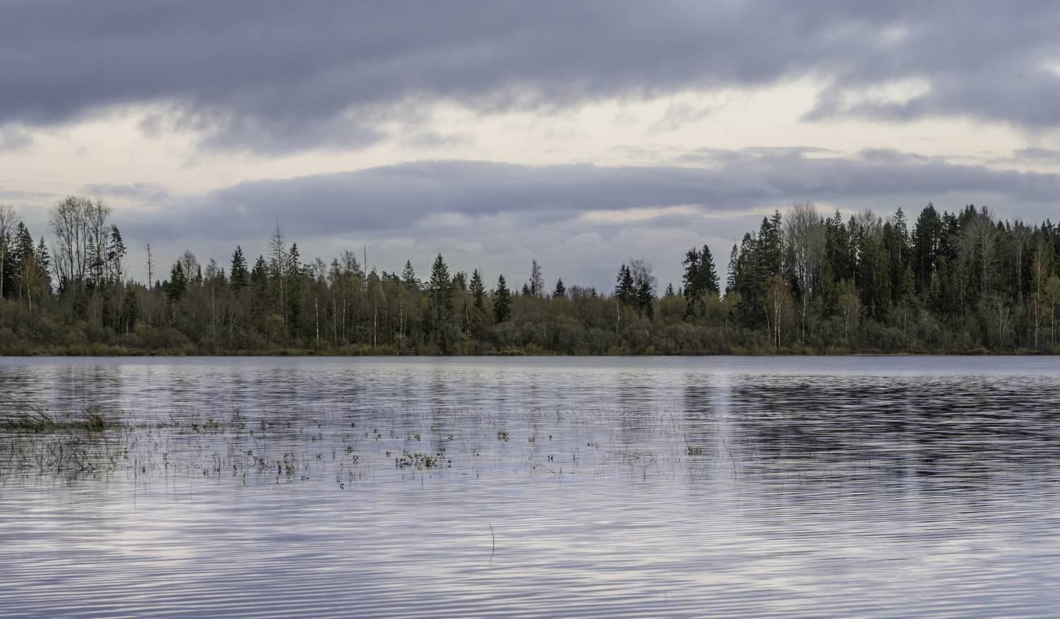 Россия, Новгородская область, Боровичи, озеро Шерегодра, , Гаврилов Юрий