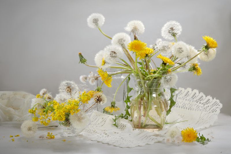 цветы, одуванчики, ваза, весна, натюрморт Одуванчики фото превью