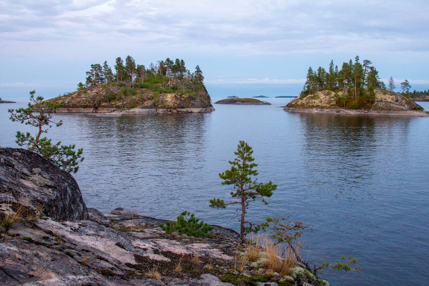 , Комарова Вера