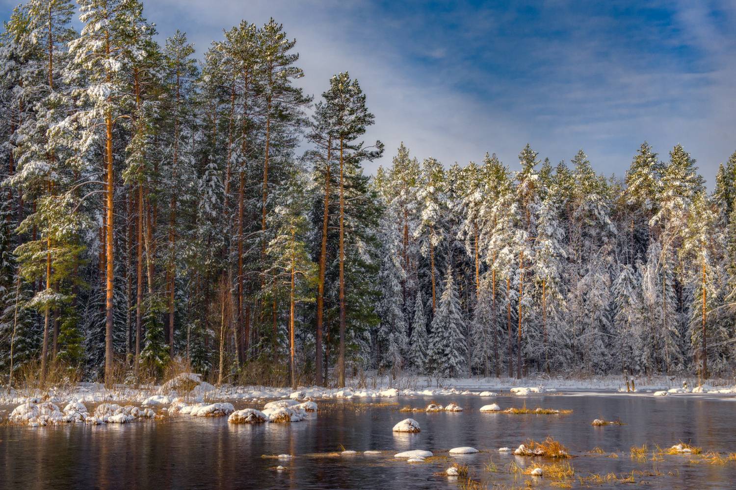 весна апрель снегопад утро свет суходол серково, Алексеев Дмитрий