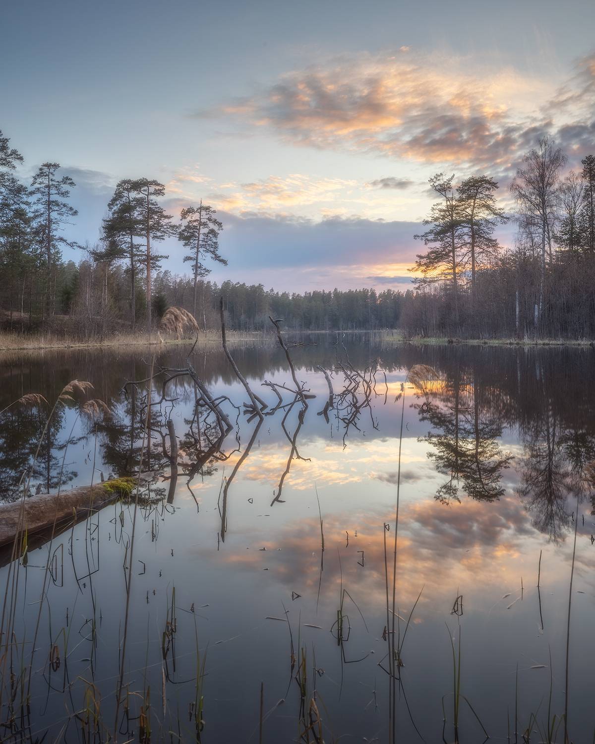 ленобласть, закат, весна, озеро, Марголин Алексей
