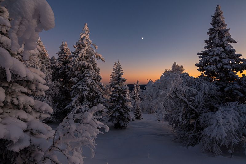 ******* фото превью