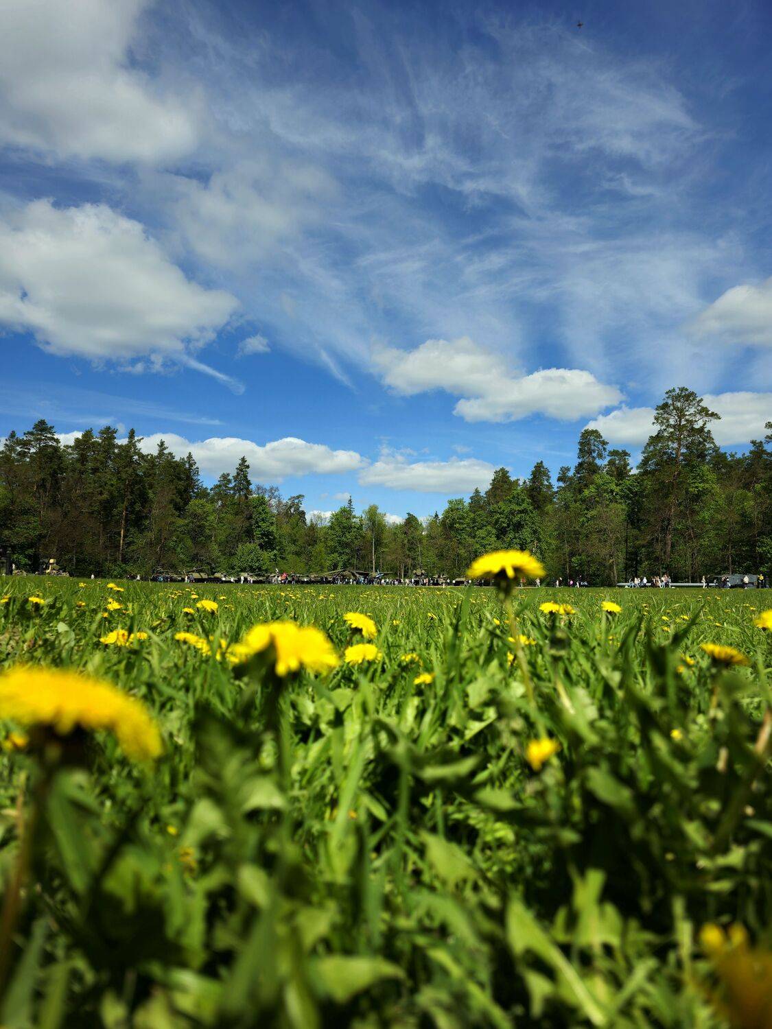 , Мария Яковлева