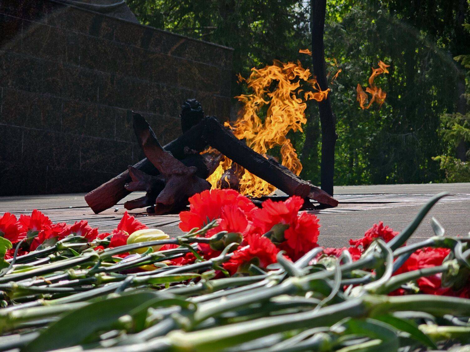 , Мария Яковлева