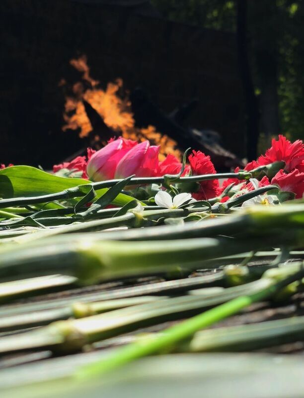 фото превью