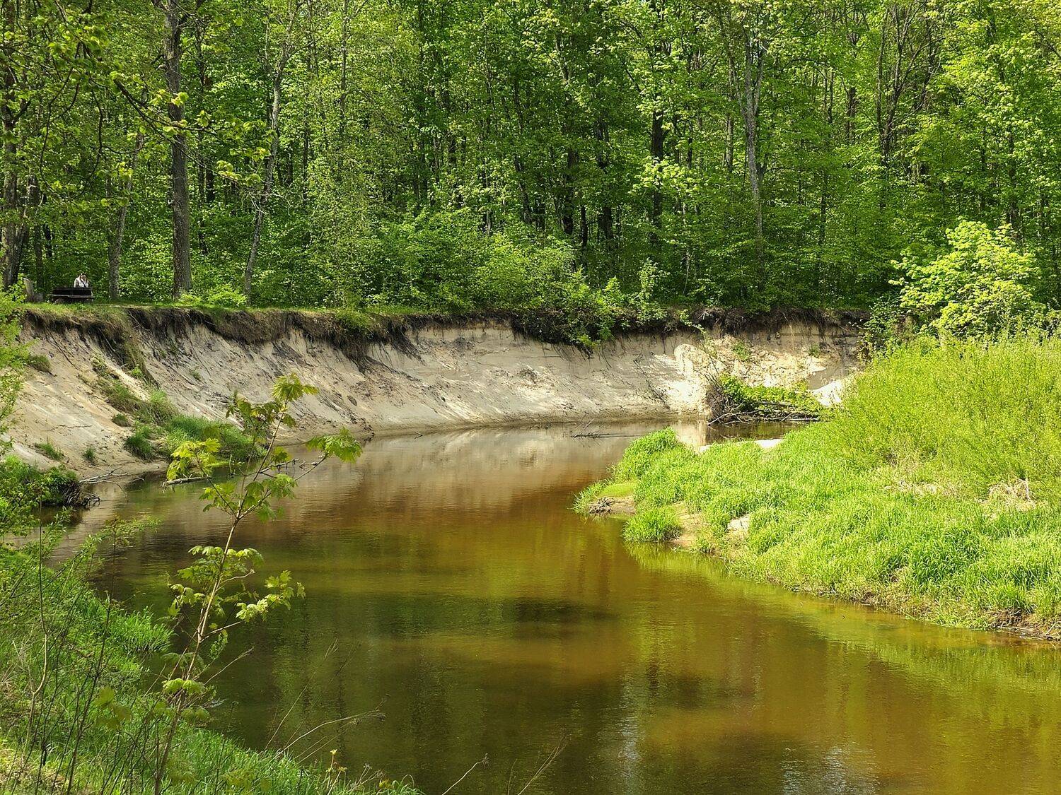 , Мария Яковлева