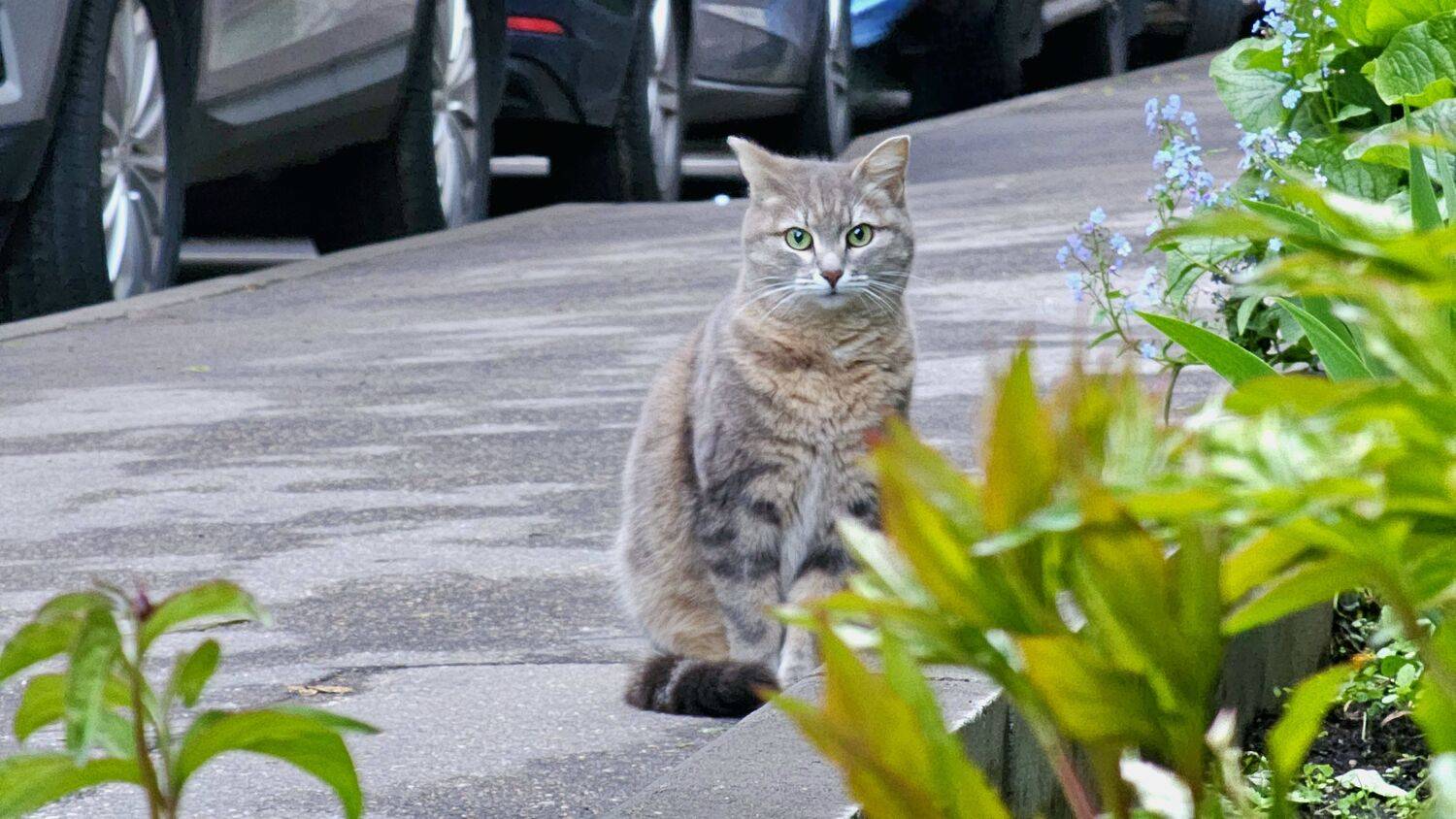 , Мария Яковлева