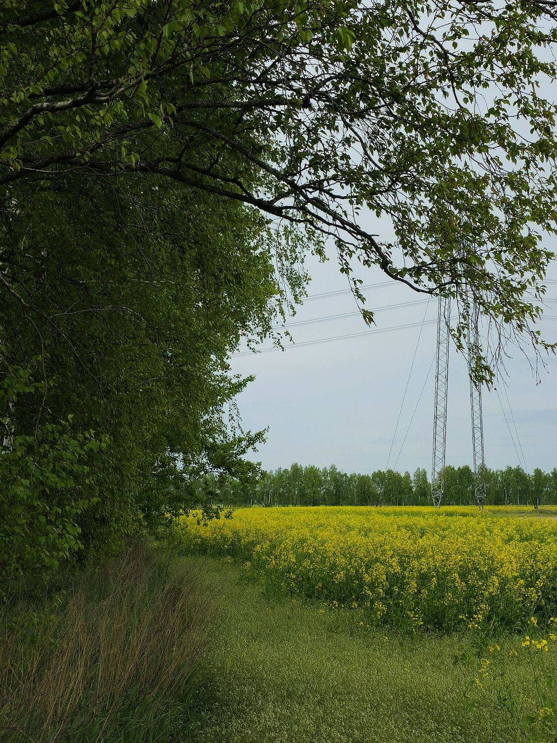 , Мария Яковлева