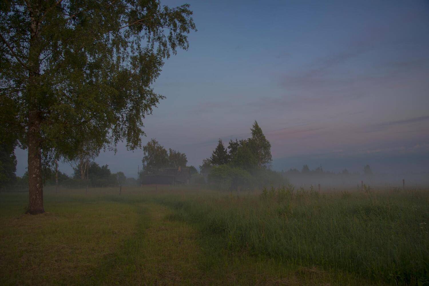 лето, времена года, россия, природа, вечер, деревенский пейзаж, туман,деревня , смоленская область, летний вечер, ностальгия, провинция,summer, seasons, russia, nature, evening, rustic landscape, fog,village, smolensk region, summer evening, nostalgia, pr, Лидия Киприч