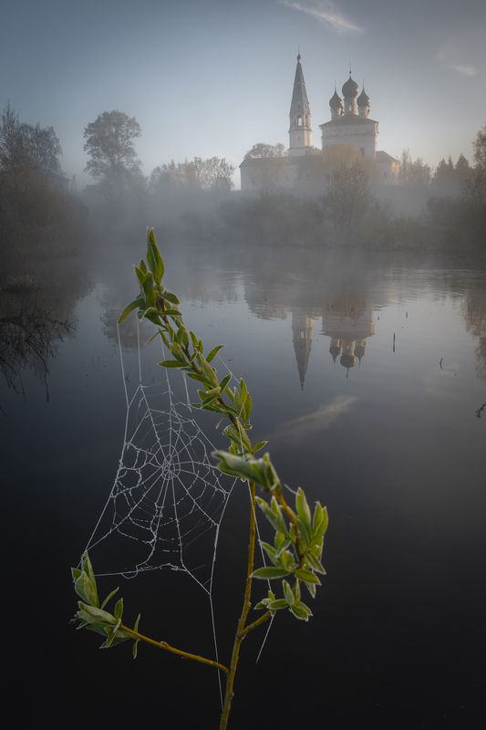 осенево, рассвет, туман, пейзаж, паутина Церковь Казанской иконы Божией Матери туманным утром в Осенево фото превью