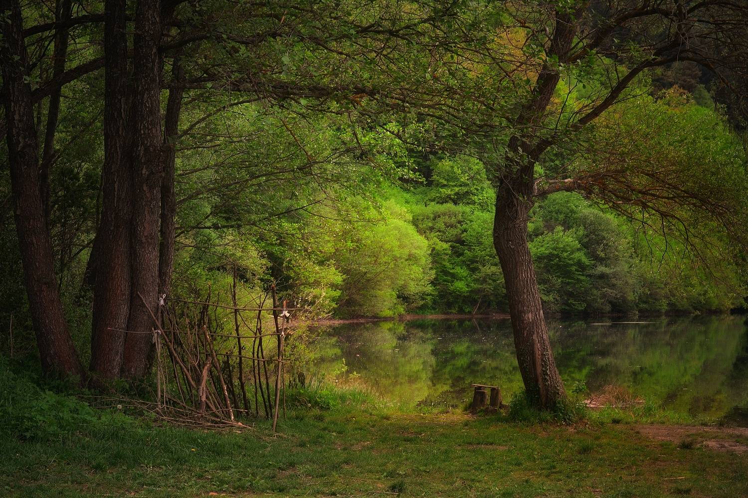 , Юлияна Стоянова