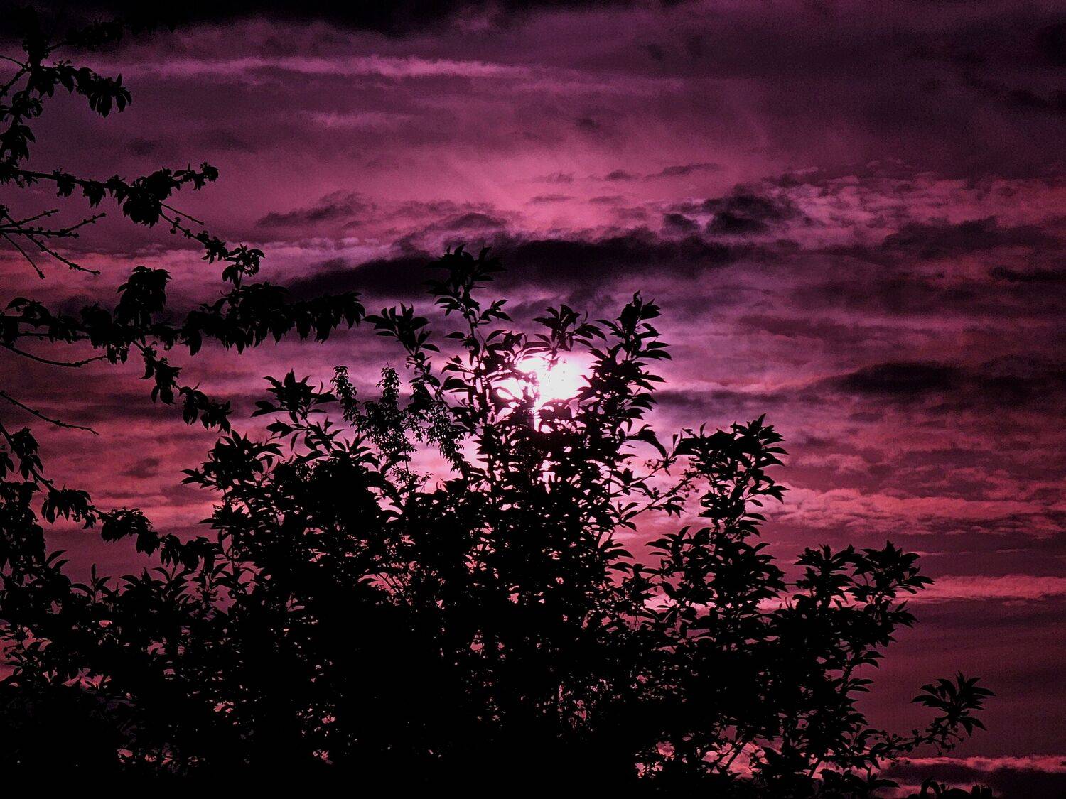 , Мария Яковлева