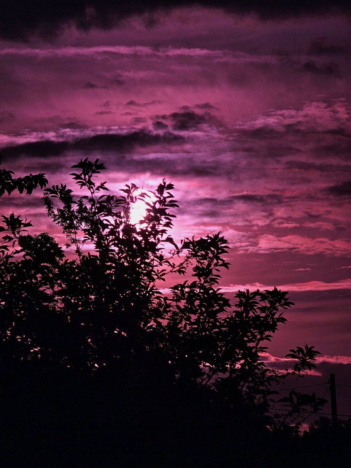 , Мария Яковлева