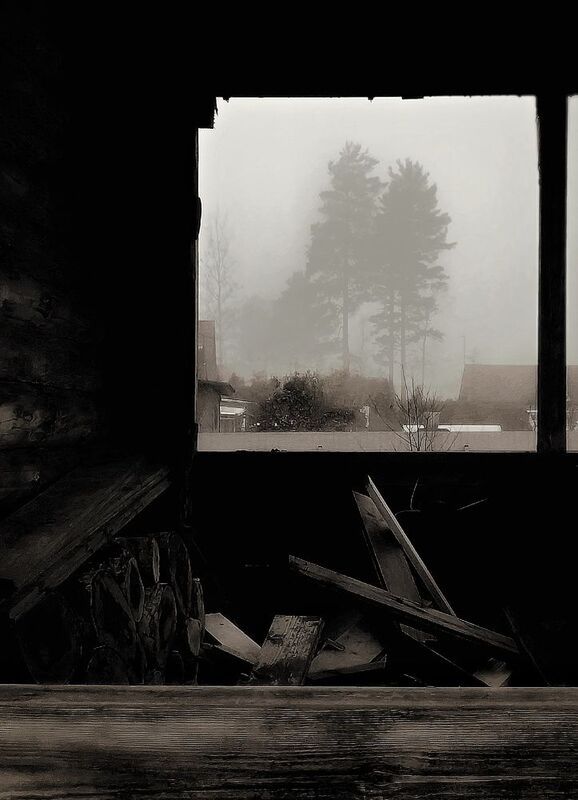 Утро фото превью