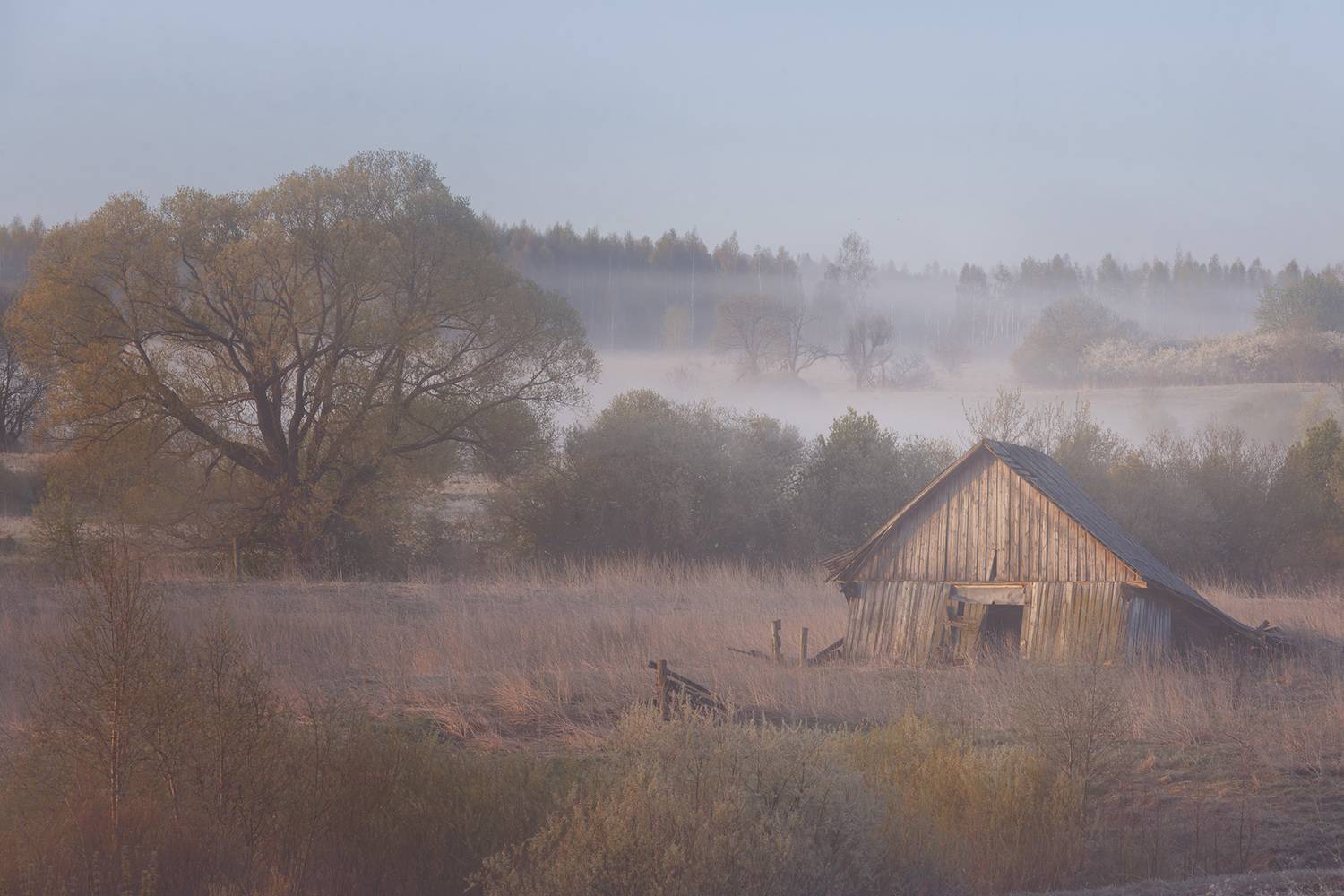 , Морозов Сергей