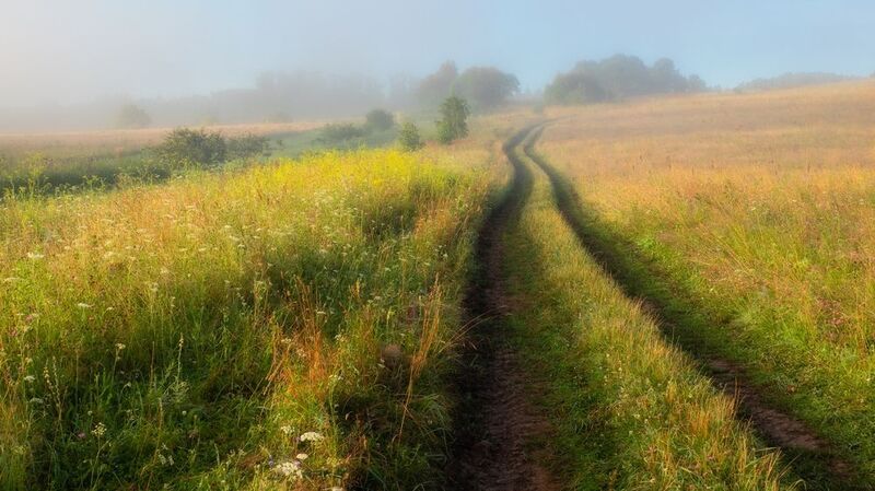 Поле фото превью