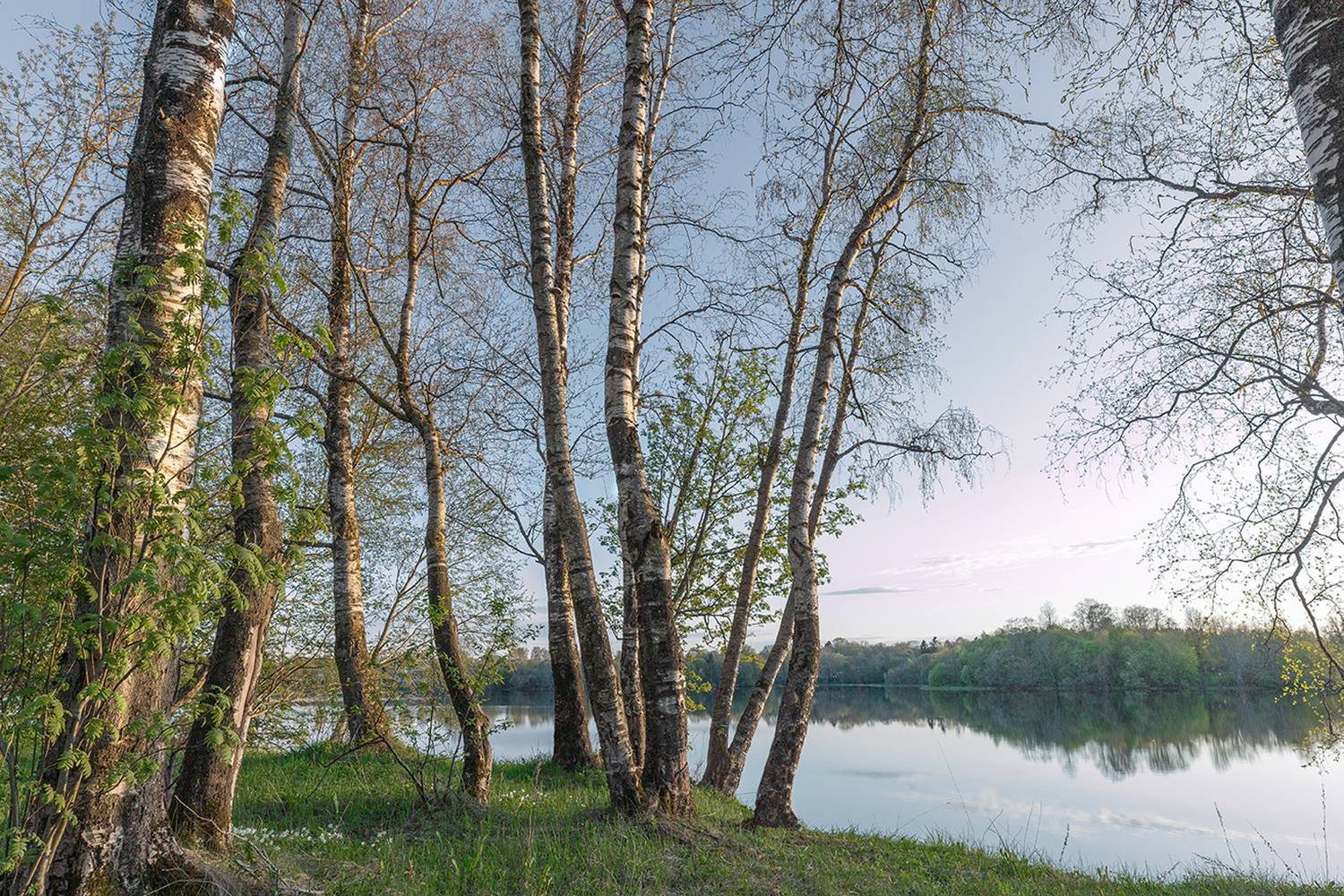 май вечер березы, Четвертной Сергей