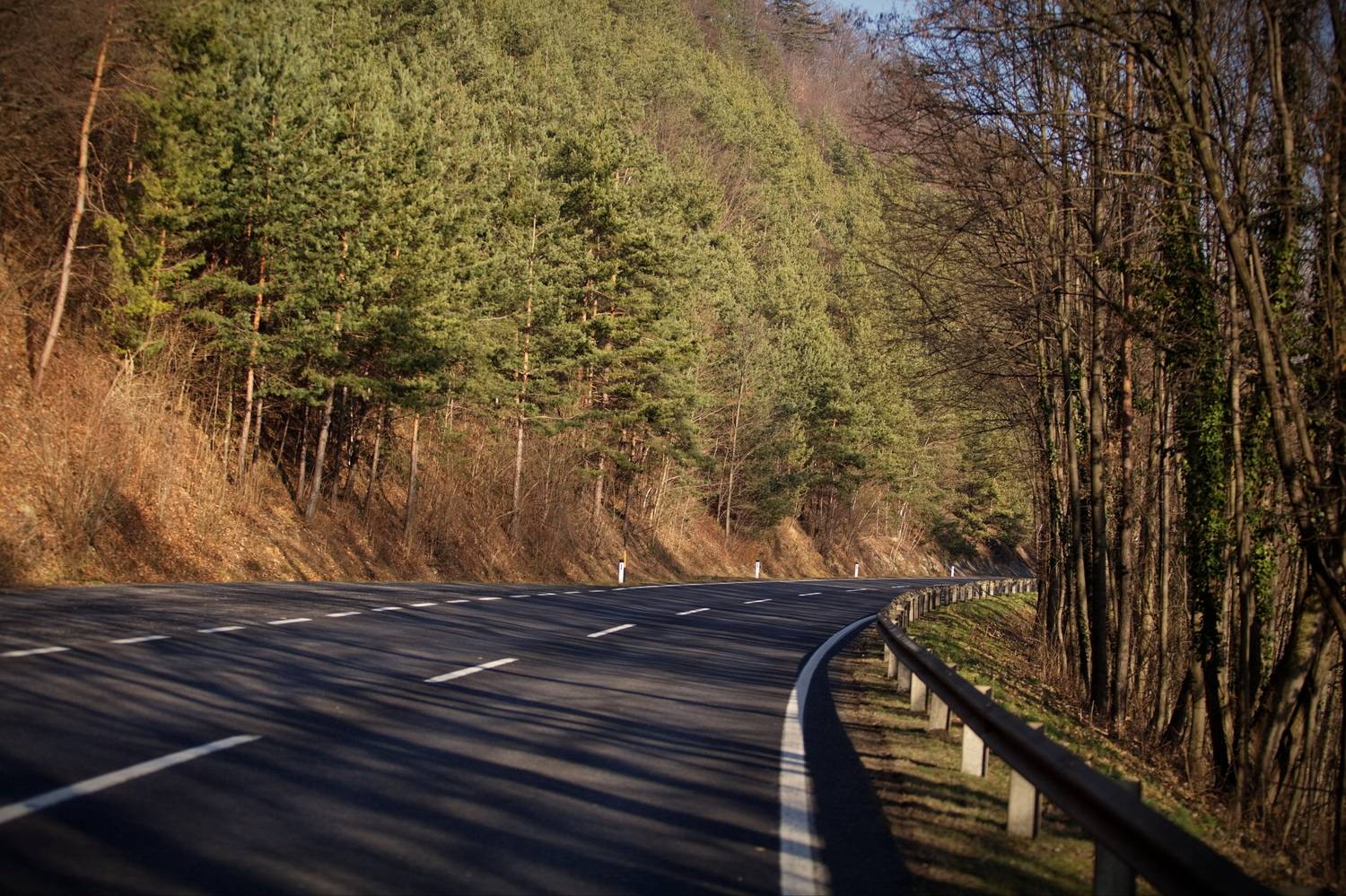 дорога, Lilia Tkachenko