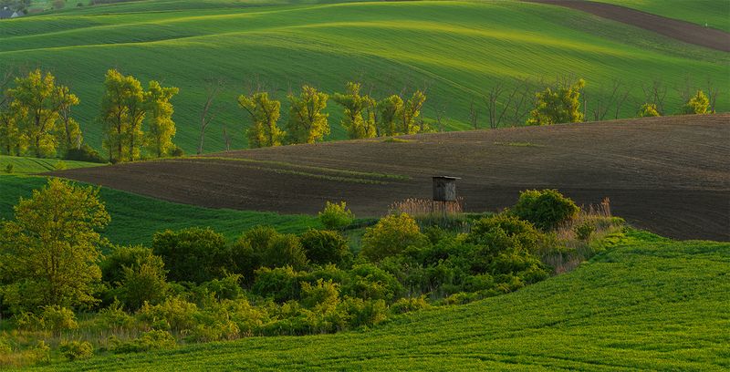 Fluffy Spring фото превью