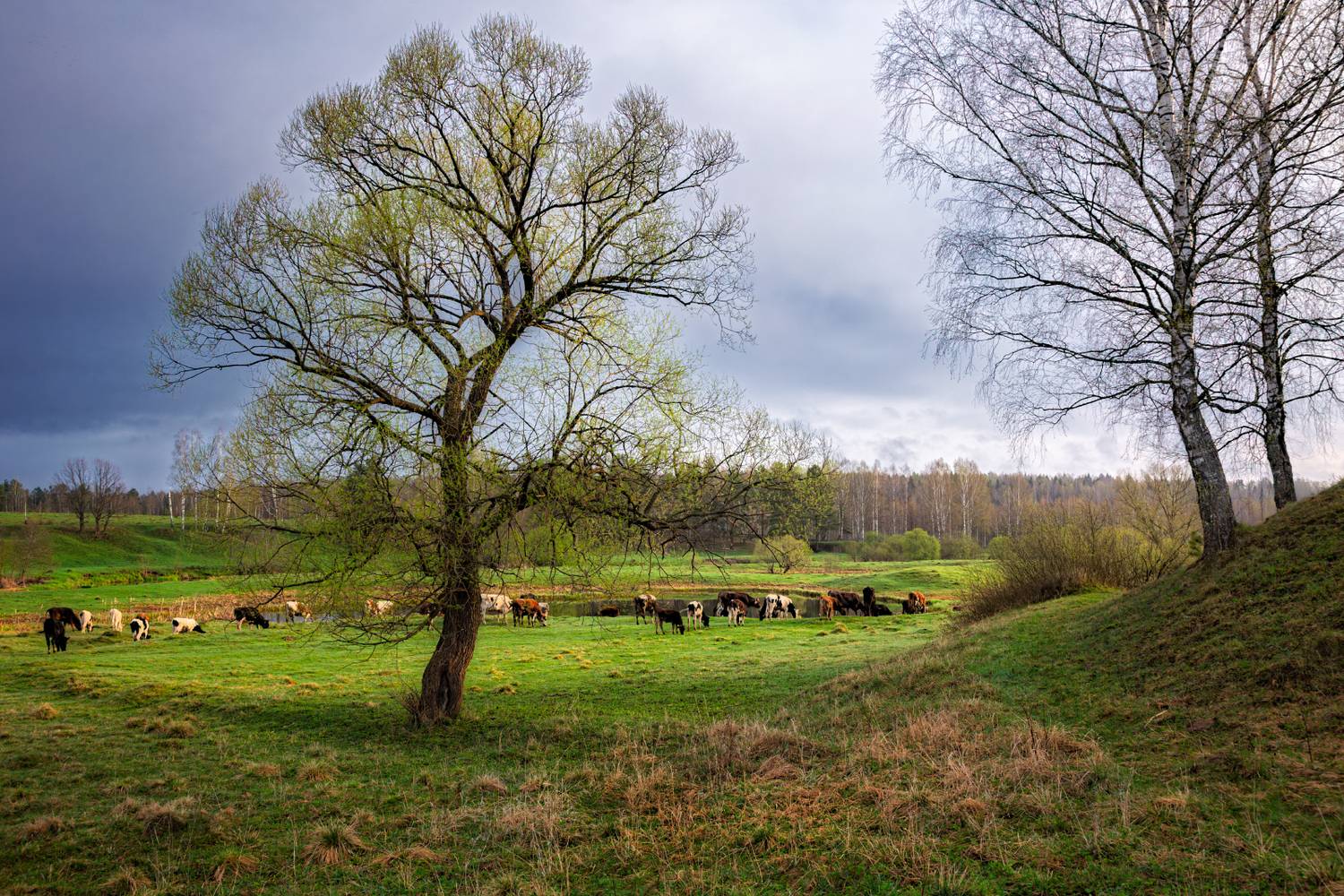 , Евгений Ерохин