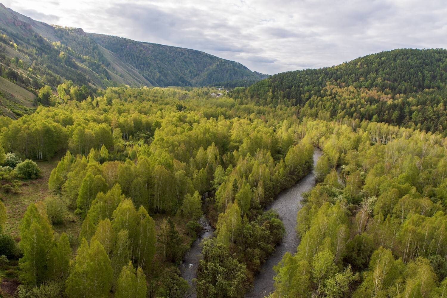 , Юрий Мальцев