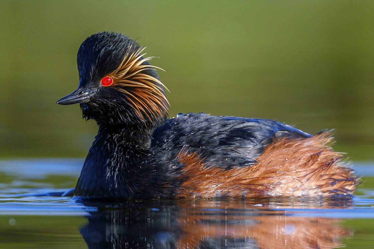 , Пупонин Сергей