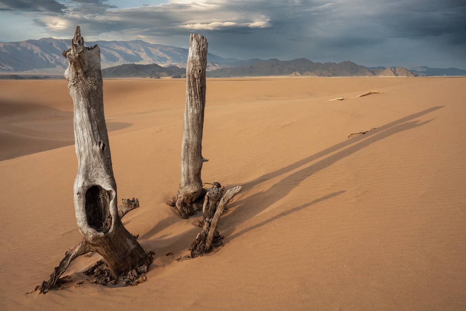 тува, тыва, кызыл, чаадан, шагонар, пустыня, саксаул, Нерозя Александр