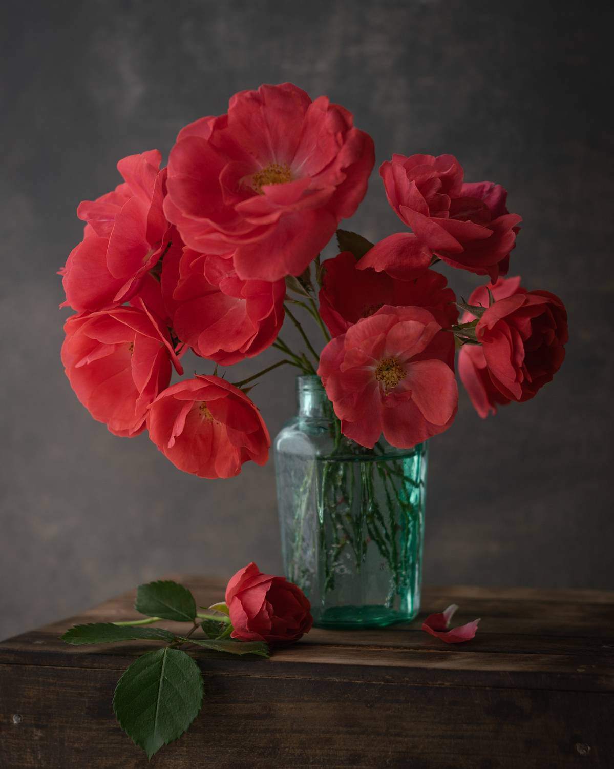 розы,натюрморт,мс гелиос81н,ставрополь, Ветренко Денис