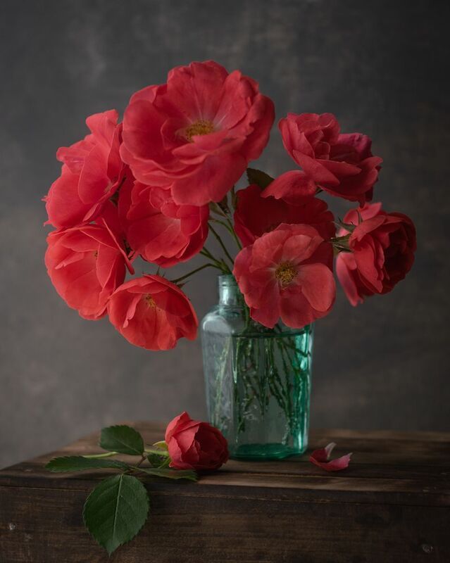 розы,натюрморт,мс гелиос81н,ставрополь С розами фото превью