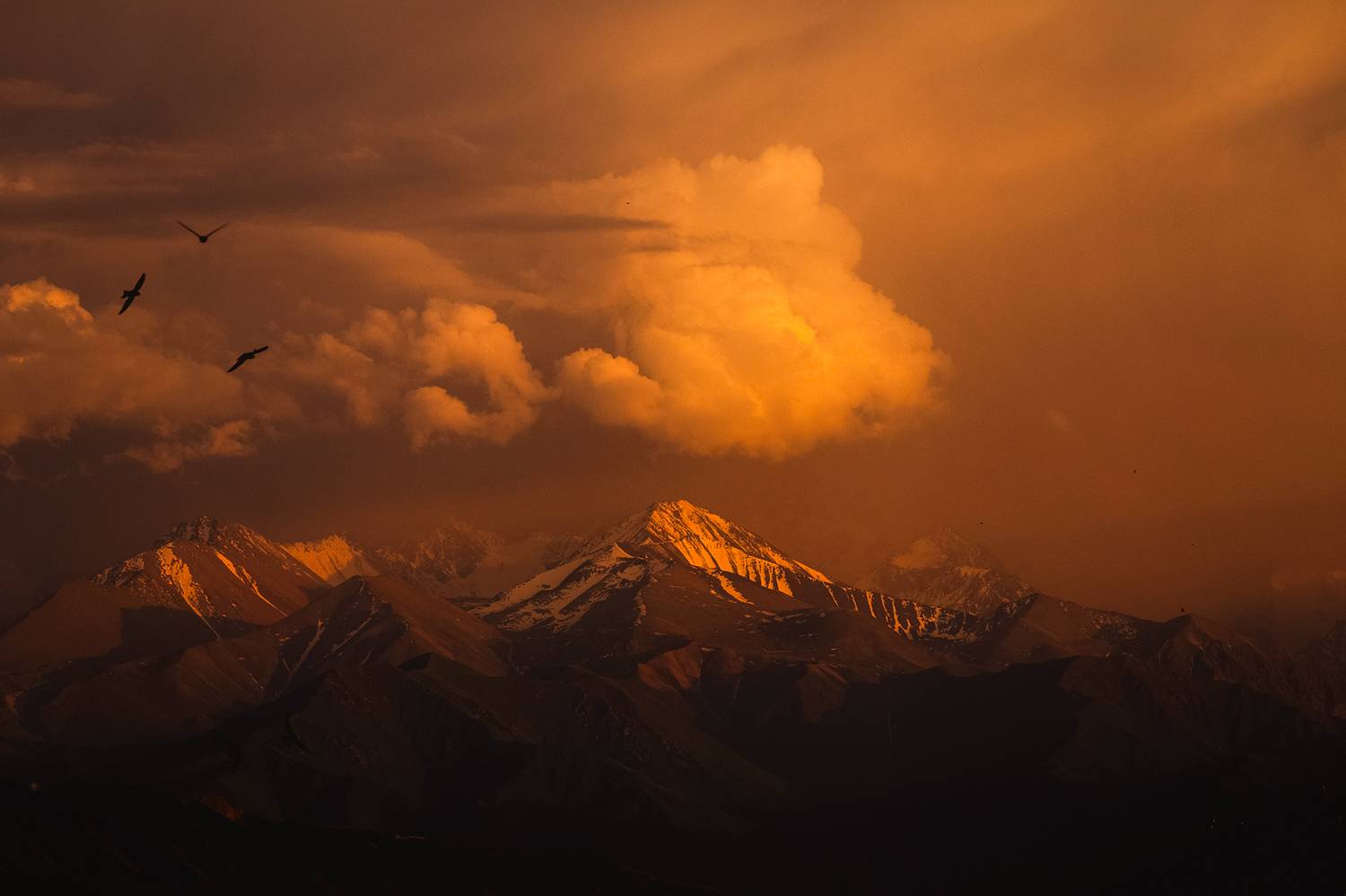 кыргызстан, кыргыз  ала-тоо, Элина Магалимова