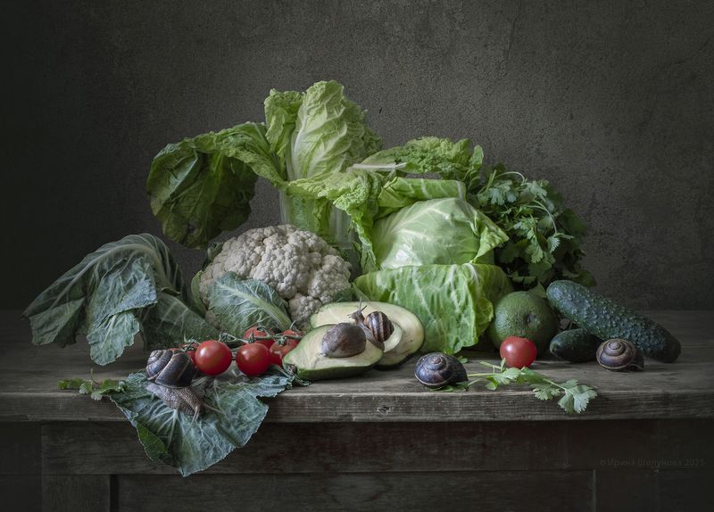 Капустный рай фото превью