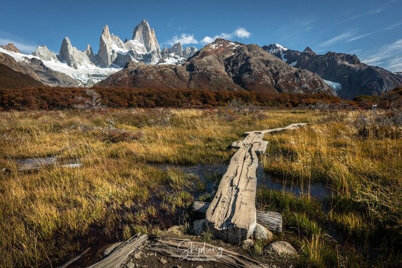 патагония, фицрой, осень Гать к осеннему лесу фото превью