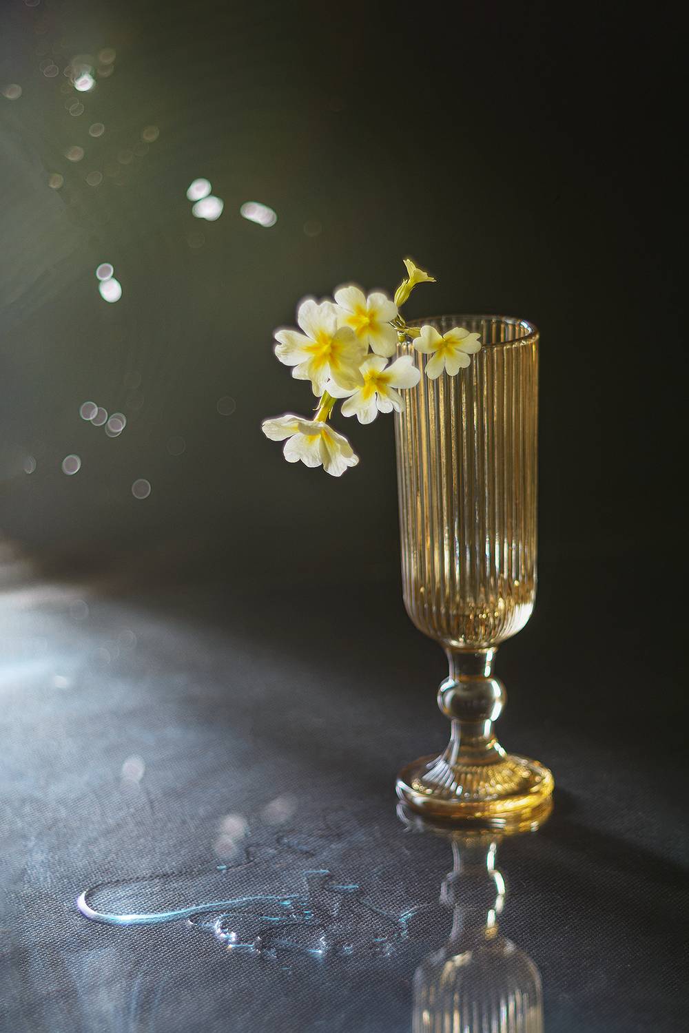 цветы, фужер, желтый, примула, букет, натюрморт, Алексей Бычков