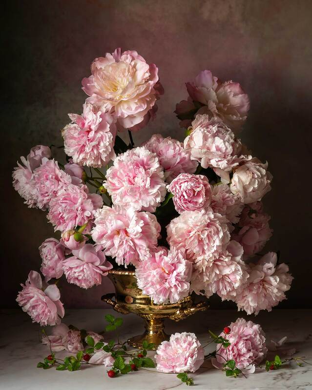 Majestic Peonies фото превью