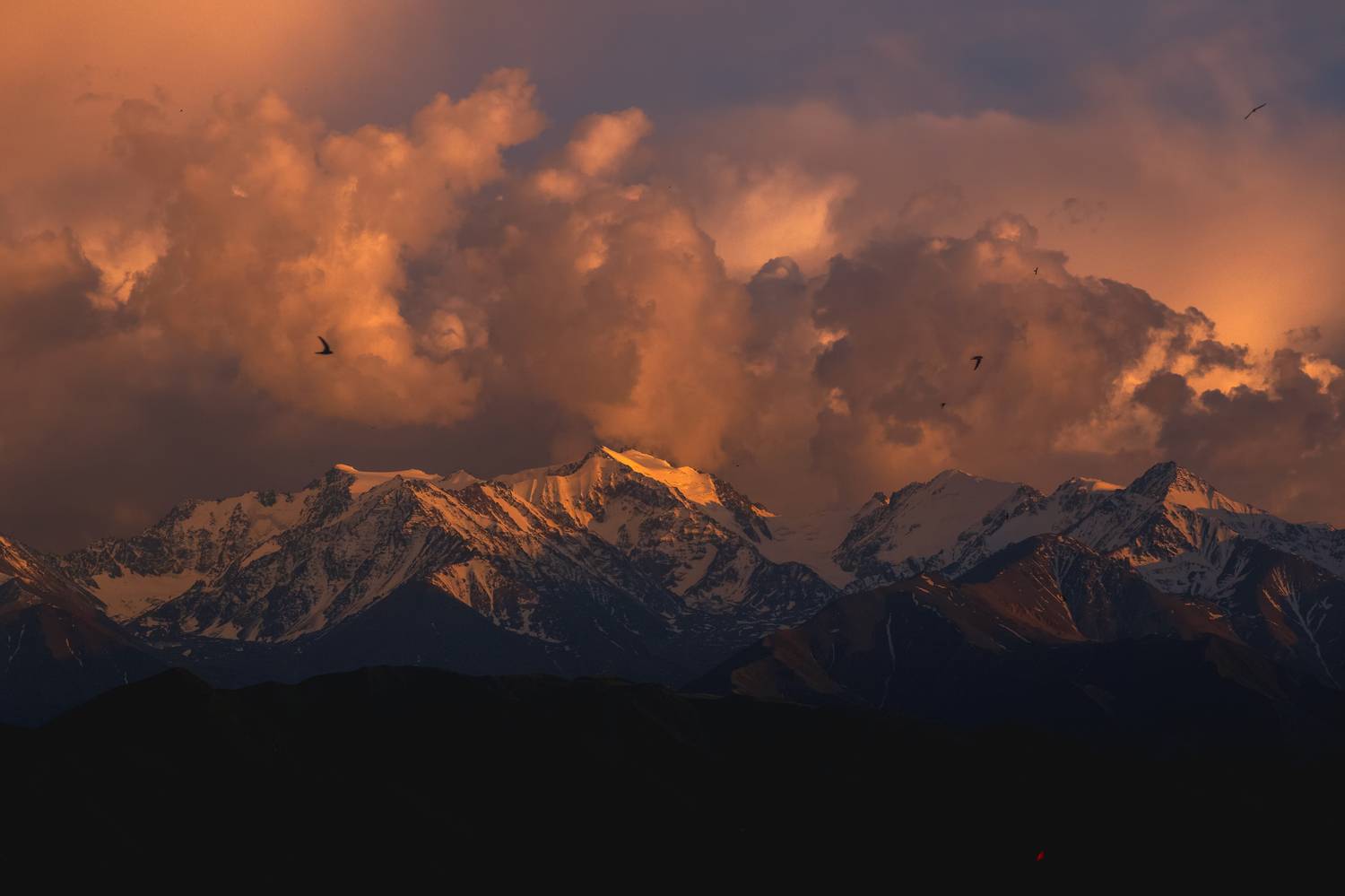 кыргызстан, кыргыз  ала-тоо, Элина Магалимова