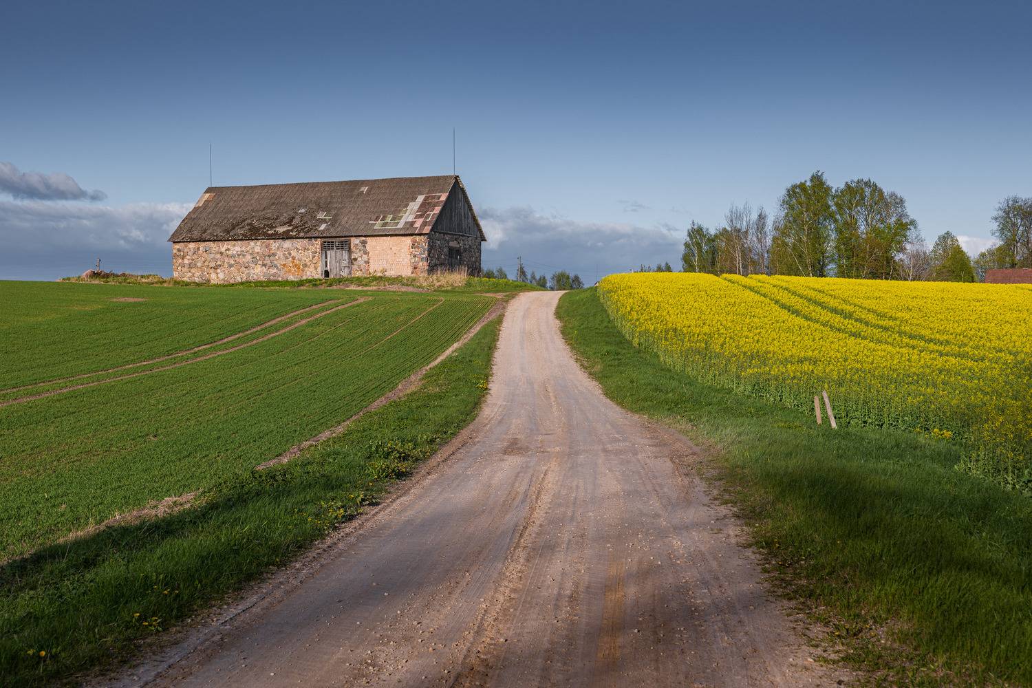 , Гордон Николай