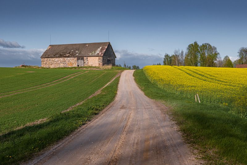 Майский вечер фото превью