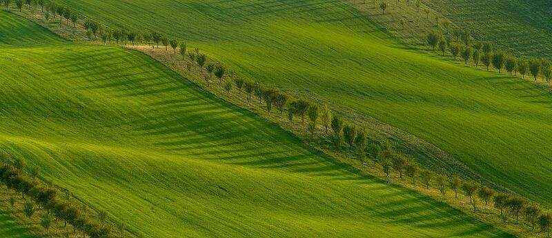 green waves фото превью