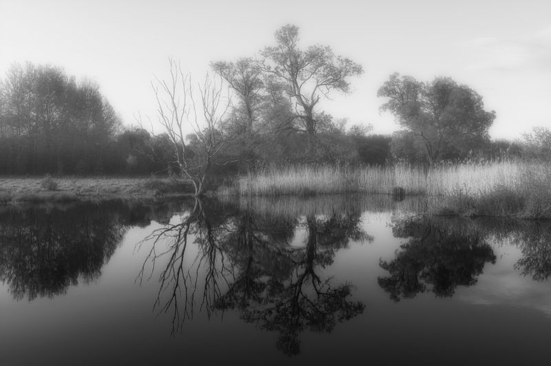 Покой забытого берега фото превью