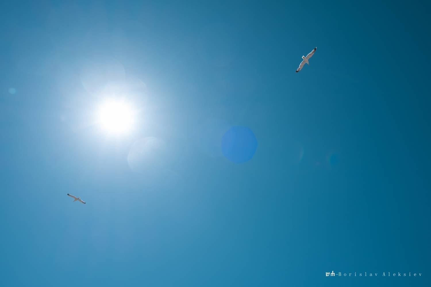 sky,blue,light,sunlight,birds,white,, Алексиев Борислав
