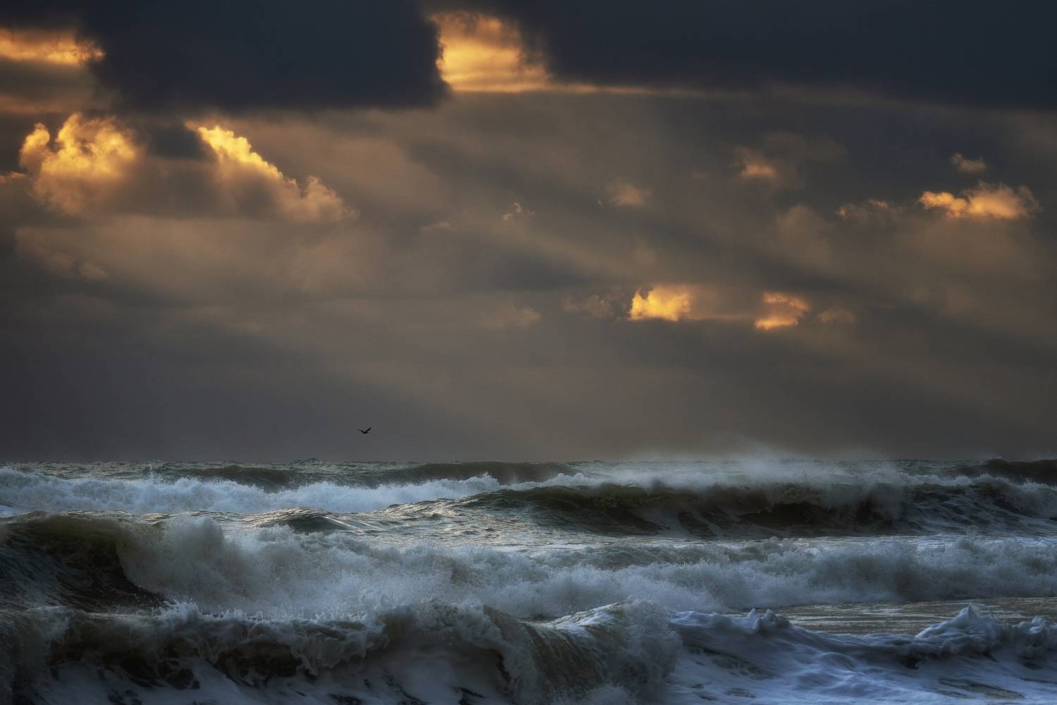 шторм, волны, море, туапсе, Васин Сергей