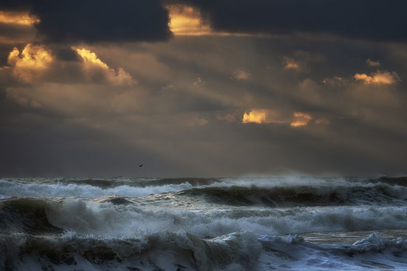 шторм, волны, море, туапсе Шторм на море. фото превью