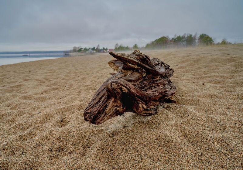 Весна на берегу озера фото превью