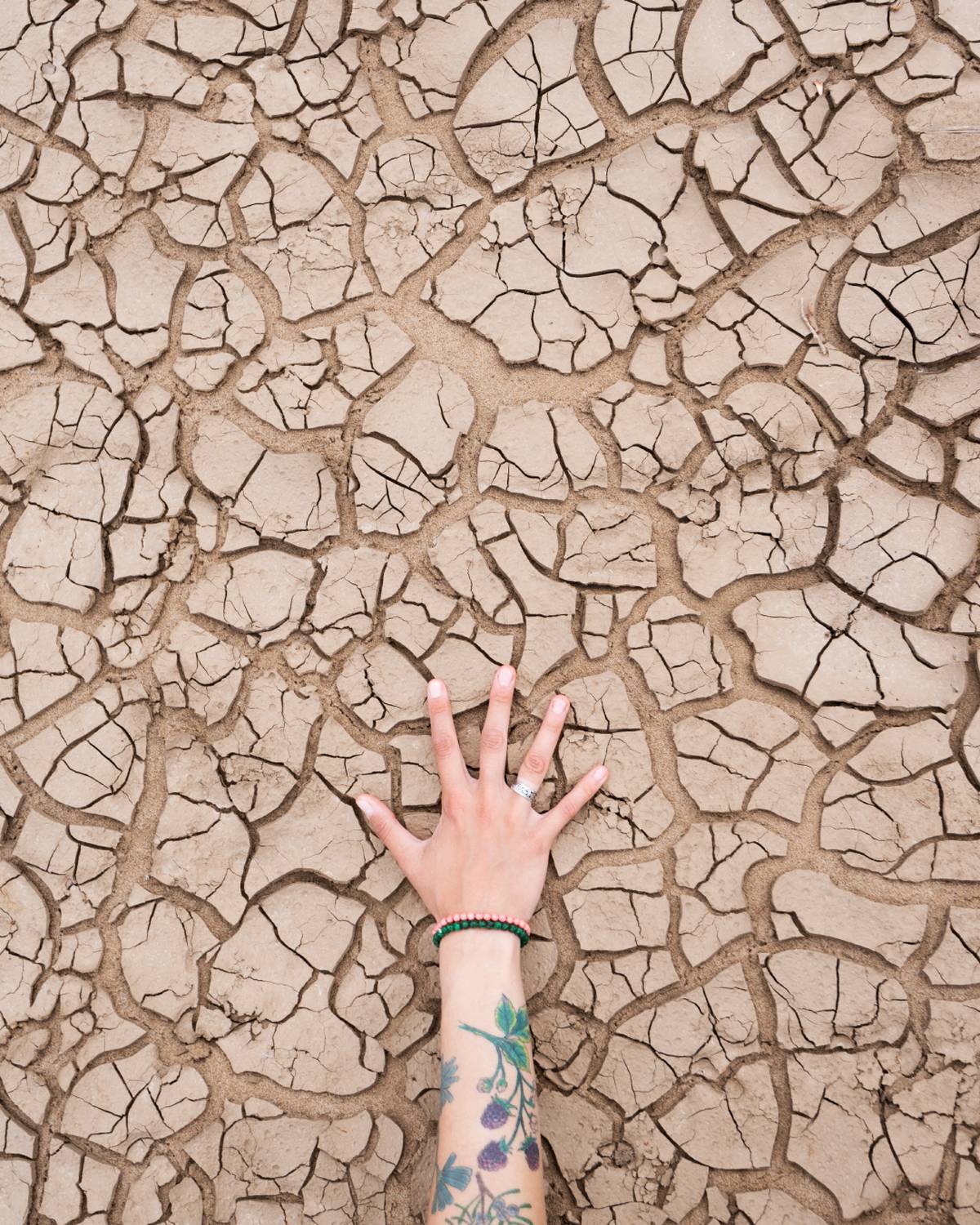 , Алексей Проняхин