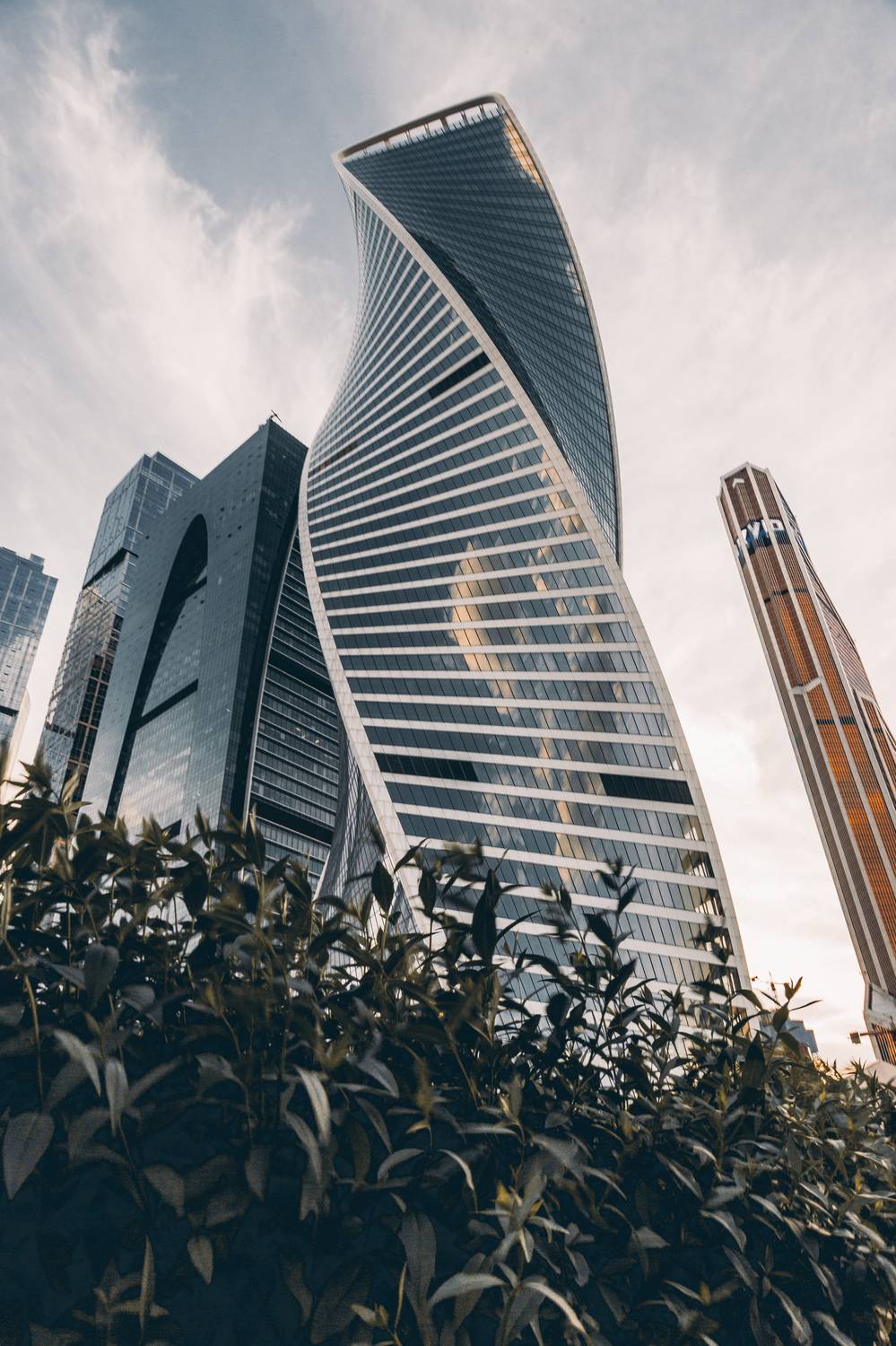 , Трепольский Дмитрий