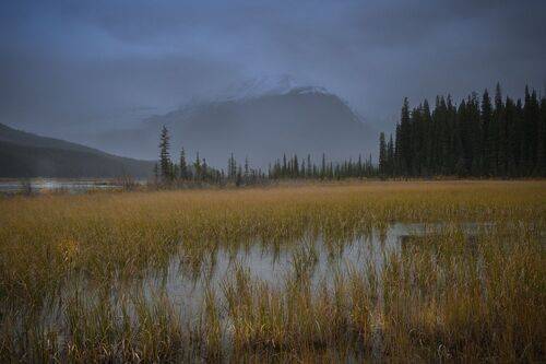 Icefields Parkway, Alberta, Canada