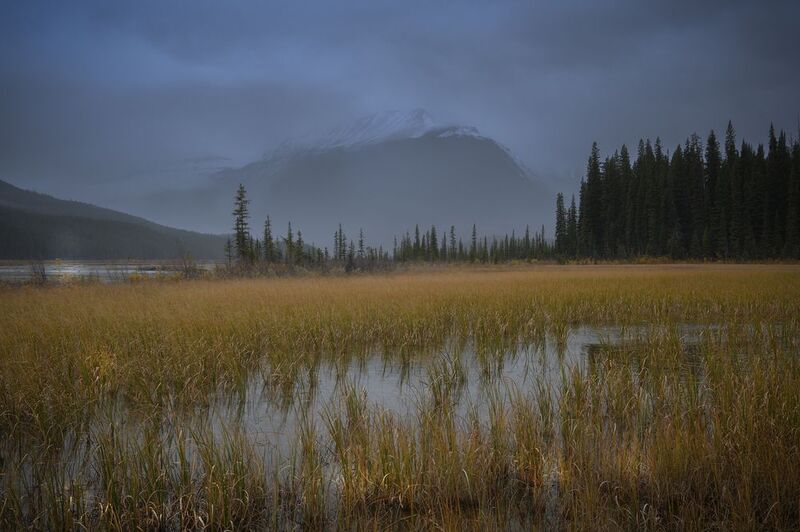 banff, alberta Icefields Parkway, Alberta, Canada фото превью