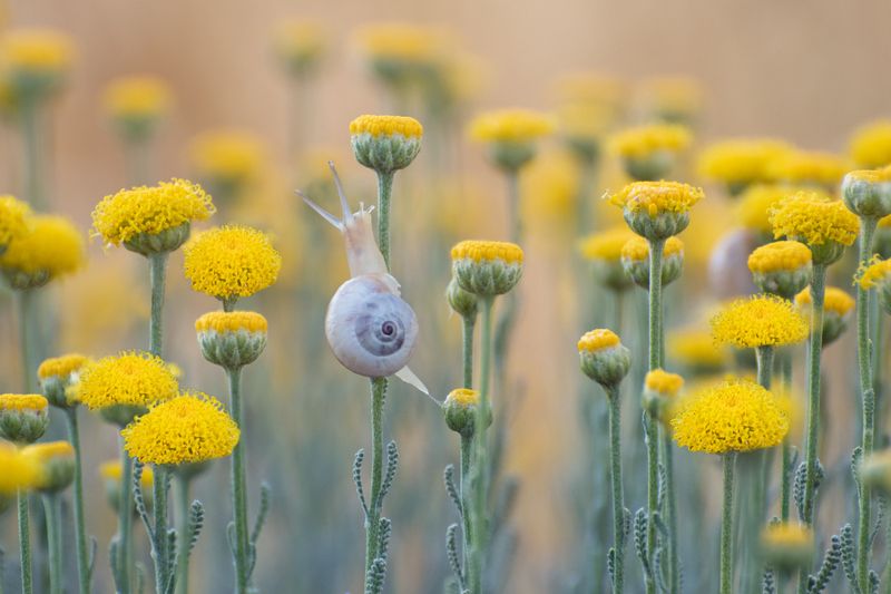 *Майское утро фото превью